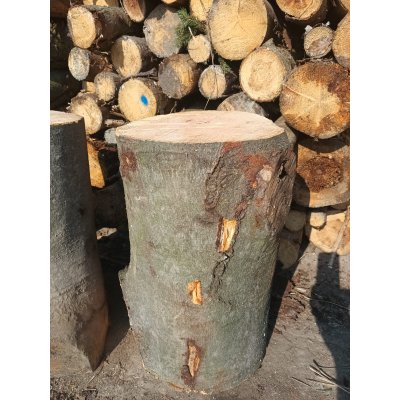 Dřevěný špalek na sekání dřeva - IMG-20260303-WA0002 (1).jpg